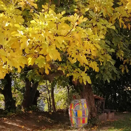 Séjour à la campagne Cadelbuja