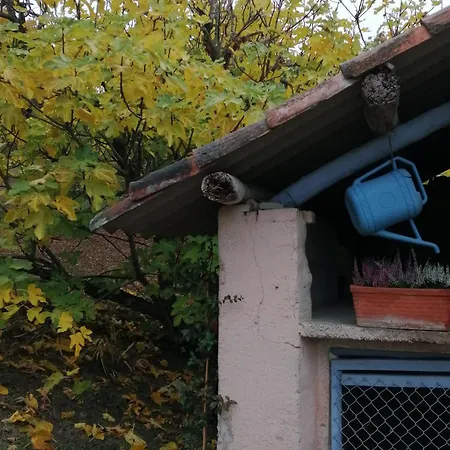 Cadelbuja Gospodarstwo wiejskie *