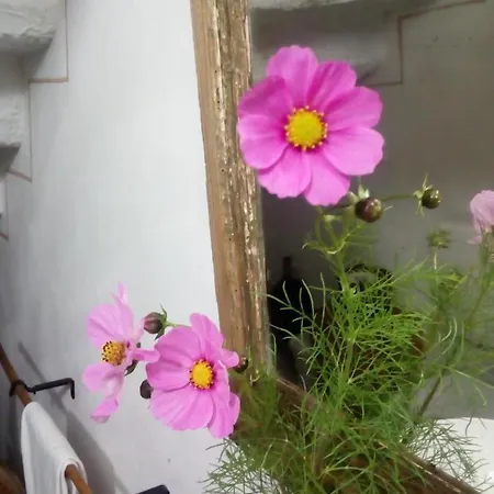Séjour à la campagne Cadelbuja